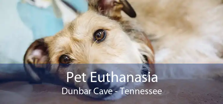 Pet Euthanasia Dunbar Cave - Tennessee