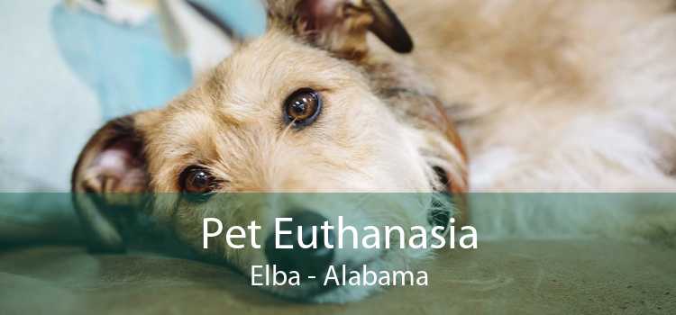 Pet Euthanasia Elba - Alabama