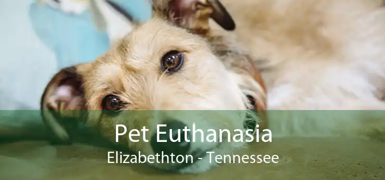 Pet Euthanasia Elizabethton - Tennessee