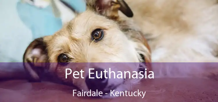 Pet Euthanasia Fairdale - Kentucky