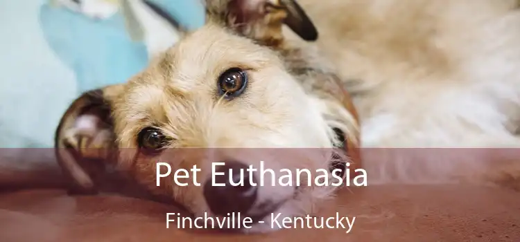 Pet Euthanasia Finchville - Kentucky