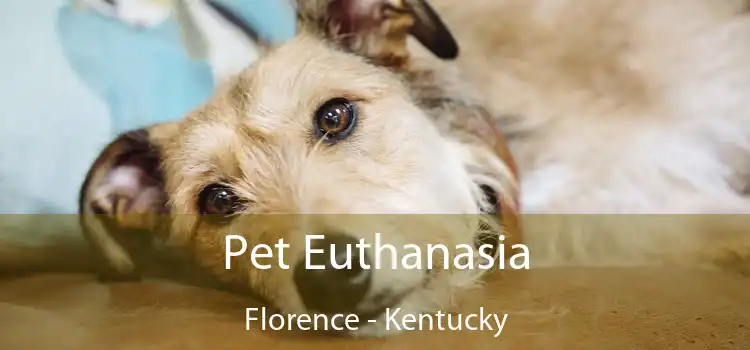 Pet Euthanasia Florence - Kentucky
