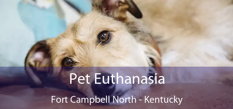 Pet Euthanasia Fort Campbell North - Kentucky
