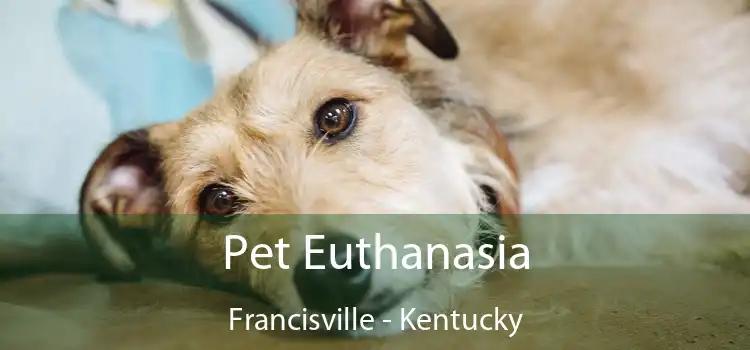Pet Euthanasia Francisville - Kentucky