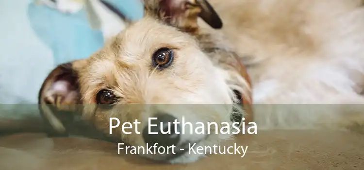 Pet Euthanasia Frankfort - Dog & Cat Euthanasia At Home Frankfort