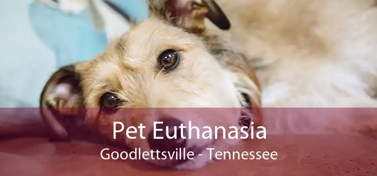 Pet Euthanasia Goodlettsville - Tennessee