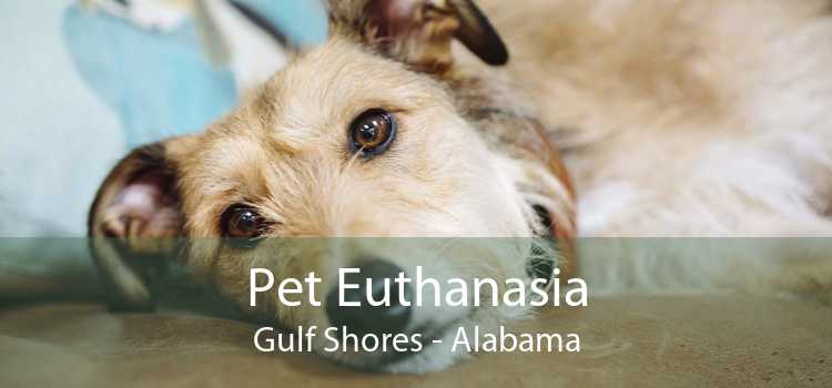 Pet Euthanasia Gulf Shores - Alabama