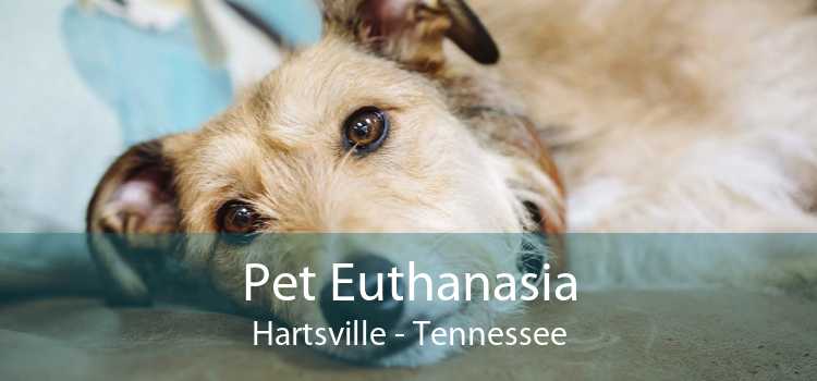Pet Euthanasia Hartsville - Tennessee