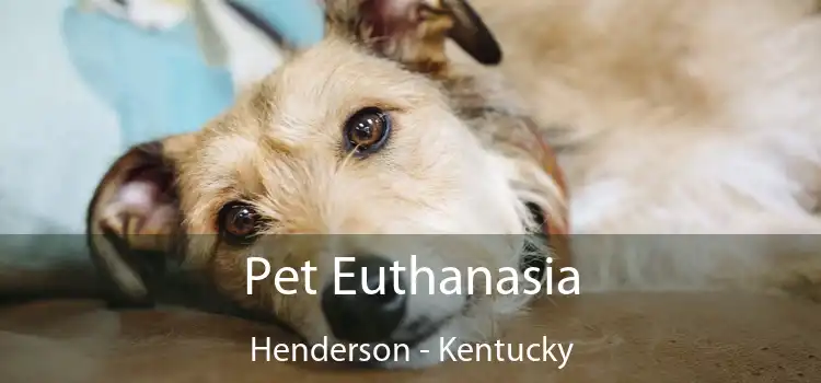 Pet Euthanasia Henderson - Kentucky
