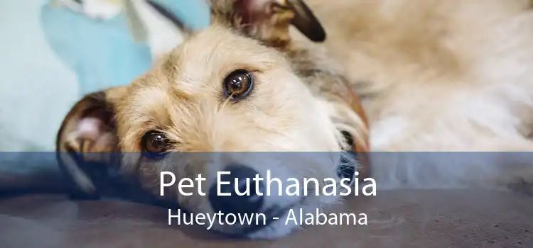 Pet Euthanasia Hueytown - Alabama