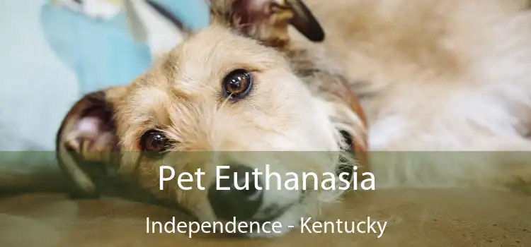 Pet Euthanasia Independence - Kentucky