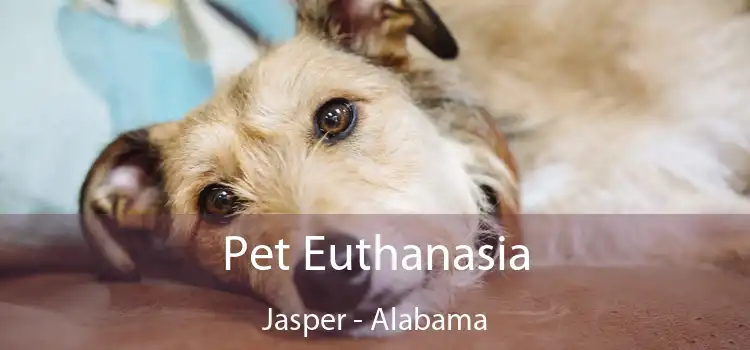 Pet Euthanasia Jasper - Alabama