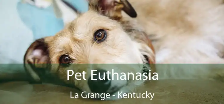 Pet Euthanasia La Grange - Kentucky