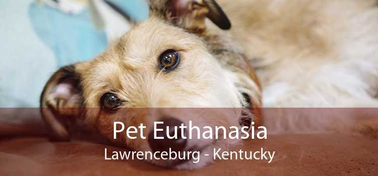 Pet Euthanasia Lawrenceburg - Kentucky