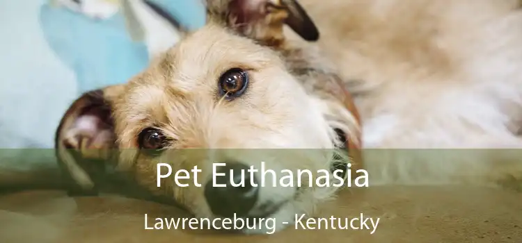 Pet Euthanasia Lawrenceburg - Kentucky