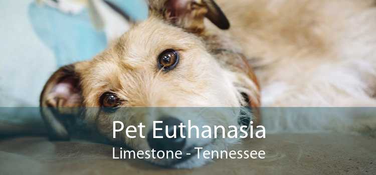 Pet Euthanasia Limestone - Tennessee