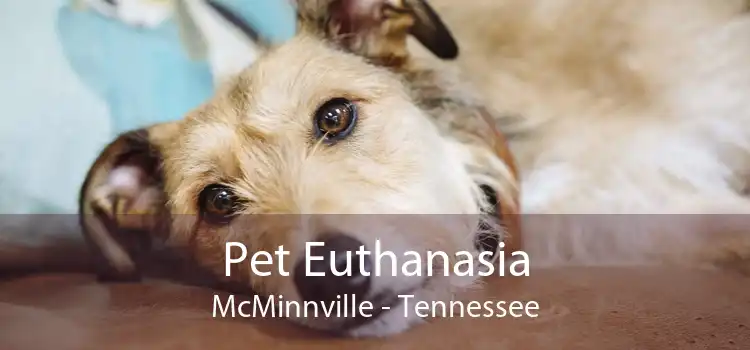 Pet Euthanasia McMinnville - Tennessee