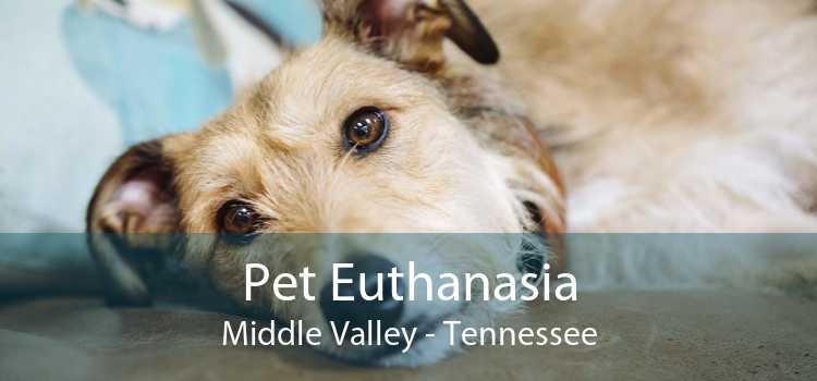 Pet Euthanasia Middle Valley - Tennessee