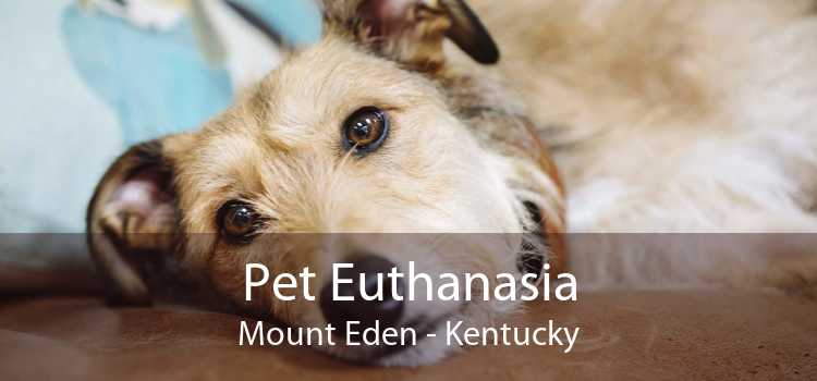 Pet Euthanasia Mount Eden - Kentucky