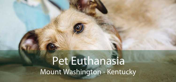 Pet Euthanasia Mount Washington - Kentucky