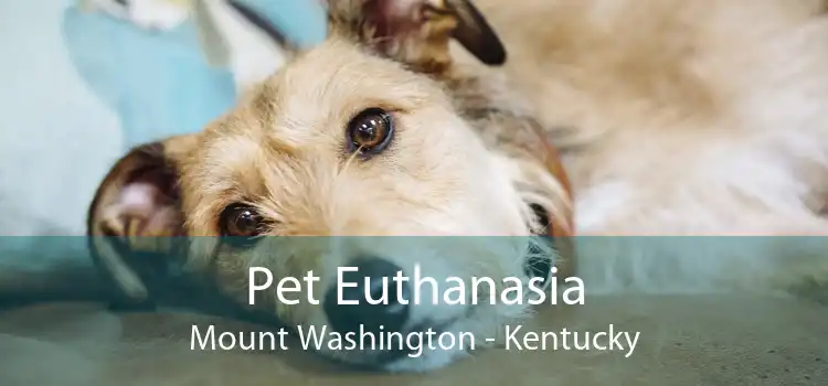 Pet Euthanasia Mount Washington - Kentucky