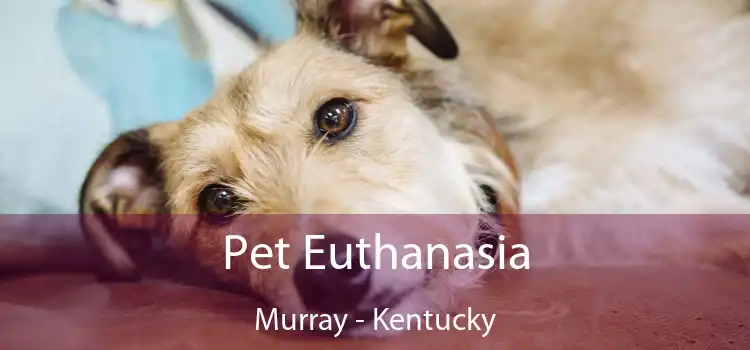 Pet Euthanasia Murray - Kentucky