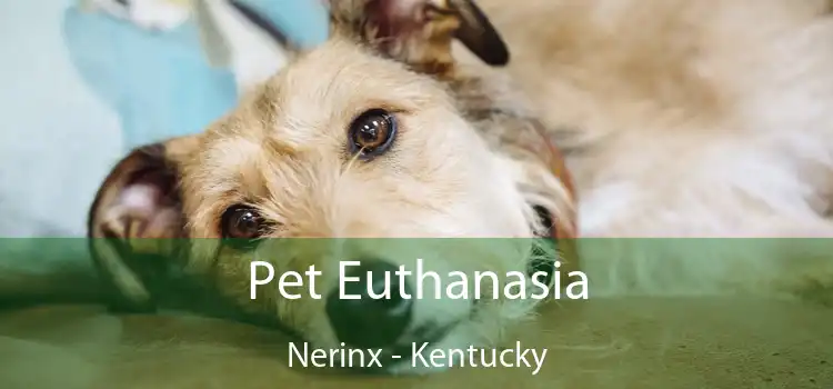 Pet Euthanasia Nerinx - Kentucky