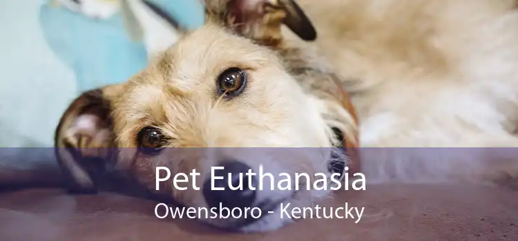 Pet Euthanasia Owensboro - Kentucky