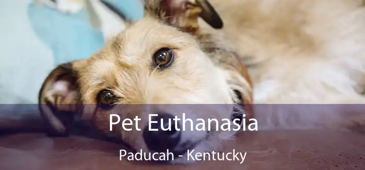 Pet Euthanasia Paducah - Kentucky