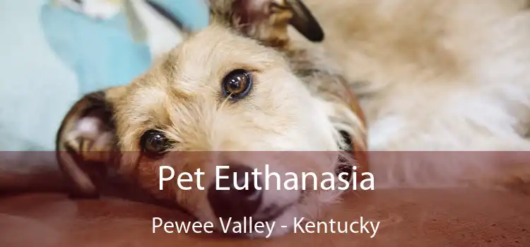 Pet Euthanasia Pewee Valley - Kentucky