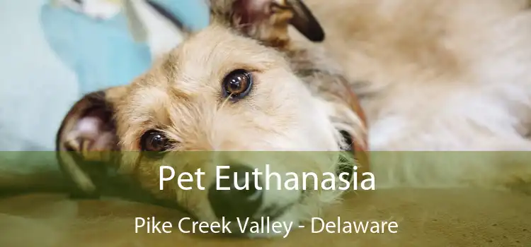 Pet Euthanasia Pike Creek Valley - Delaware