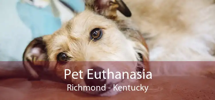 Pet Euthanasia Richmond - Kentucky