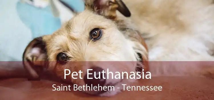 Pet Euthanasia Saint Bethlehem - Tennessee