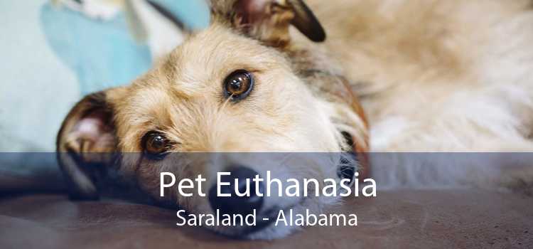 Pet Euthanasia Saraland - Alabama