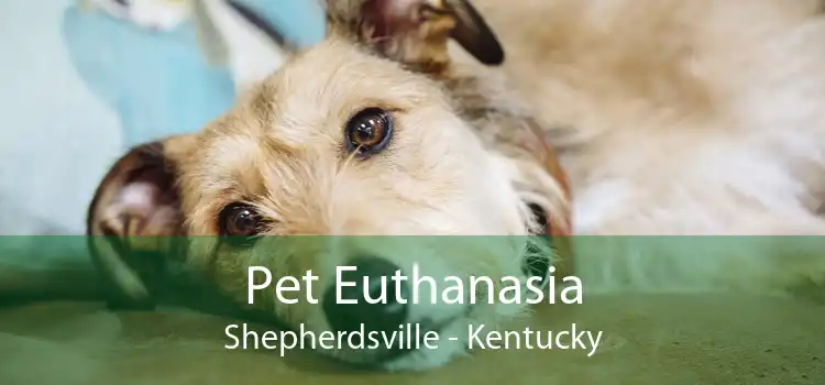 Pet Euthanasia Shepherdsville - Kentucky