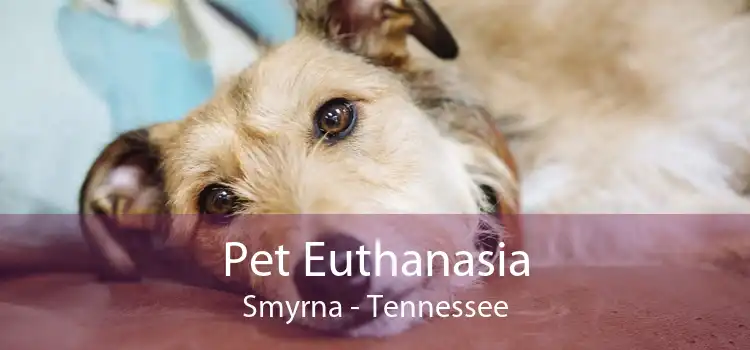 Pet Euthanasia Smyrna - Tennessee
