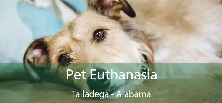 Pet Euthanasia Talladega - Alabama