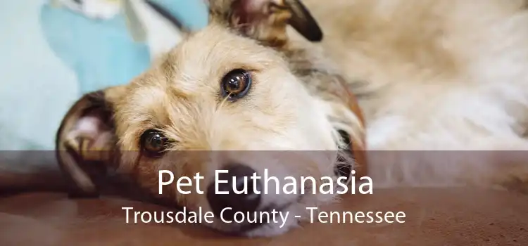 Pet Euthanasia Trousdale County - Tennessee