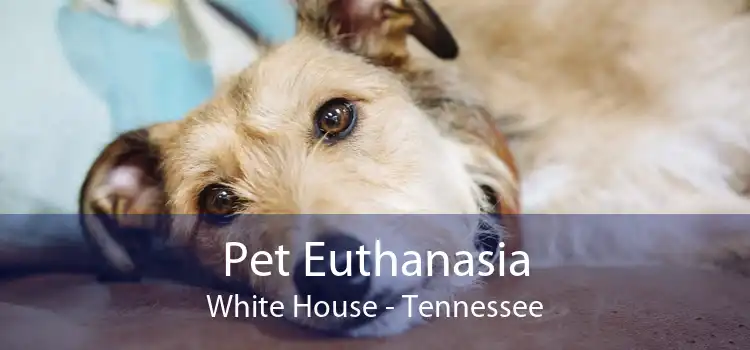 Pet Euthanasia White House - Tennessee