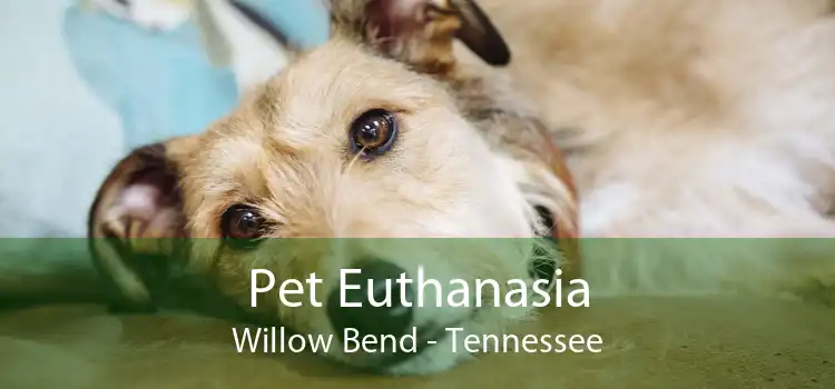 Pet Euthanasia Willow Bend - Tennessee