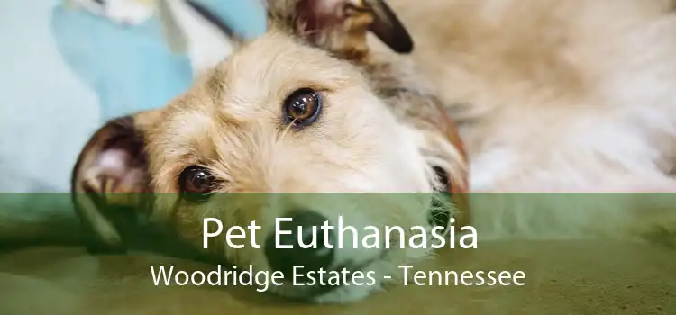 Pet Euthanasia Woodridge Estates - Tennessee