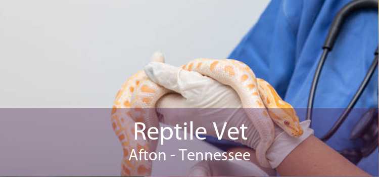 Reptile Vet Afton - Tennessee