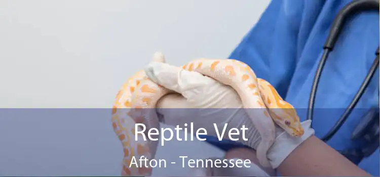 Reptile Vet Afton - Tennessee