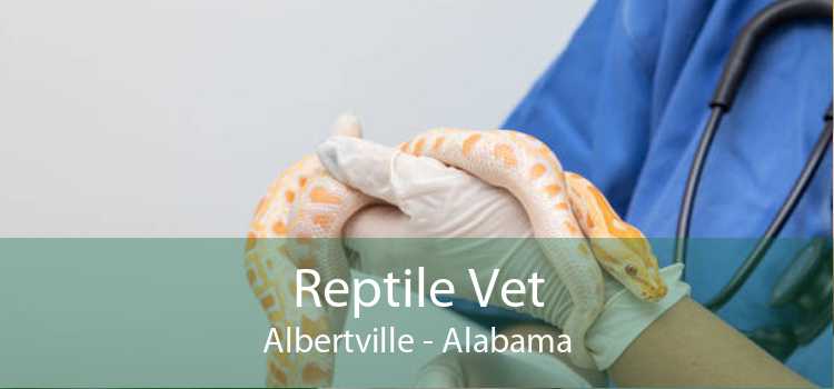 Reptile Vet Albertville - Alabama