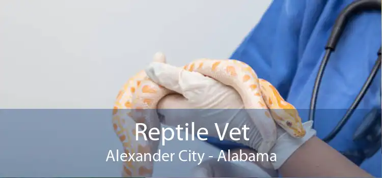 Reptile Vet Alexander City - Alabama