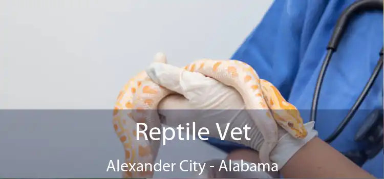 Reptile Vet Alexander City - Alabama