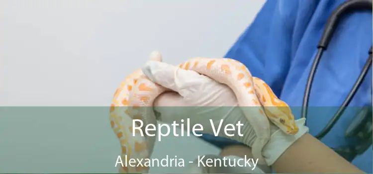 Reptile Vet Alexandria - Kentucky