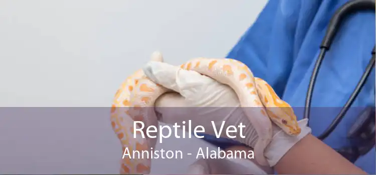 Reptile Vet Anniston - Alabama