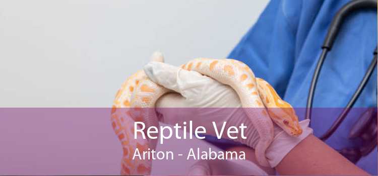 Reptile Vet Ariton - Alabama
