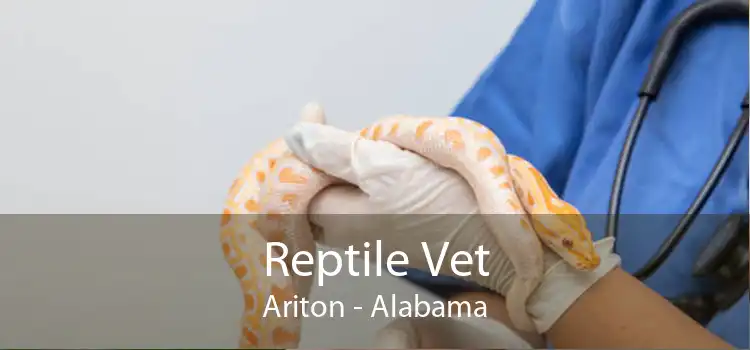 Reptile Vet Ariton - Alabama